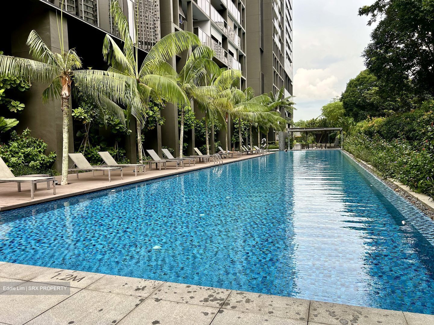 Commonwealth Towers (D3), Condominium #548068801